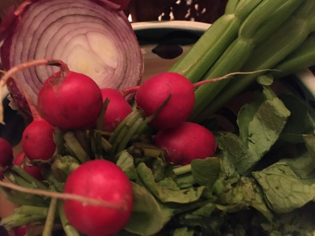 Holistic Health for Your Immune System ITR